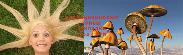 дмт Алексеевка
