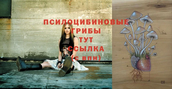 jwh Алзамай