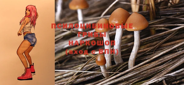 дмт Алексеевка