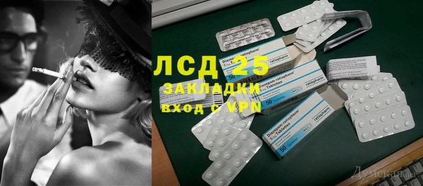 шишки Алексин